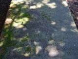 image of grave number 820647